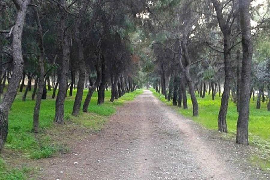 Άλσος Νέας Φιλαδέλφειας